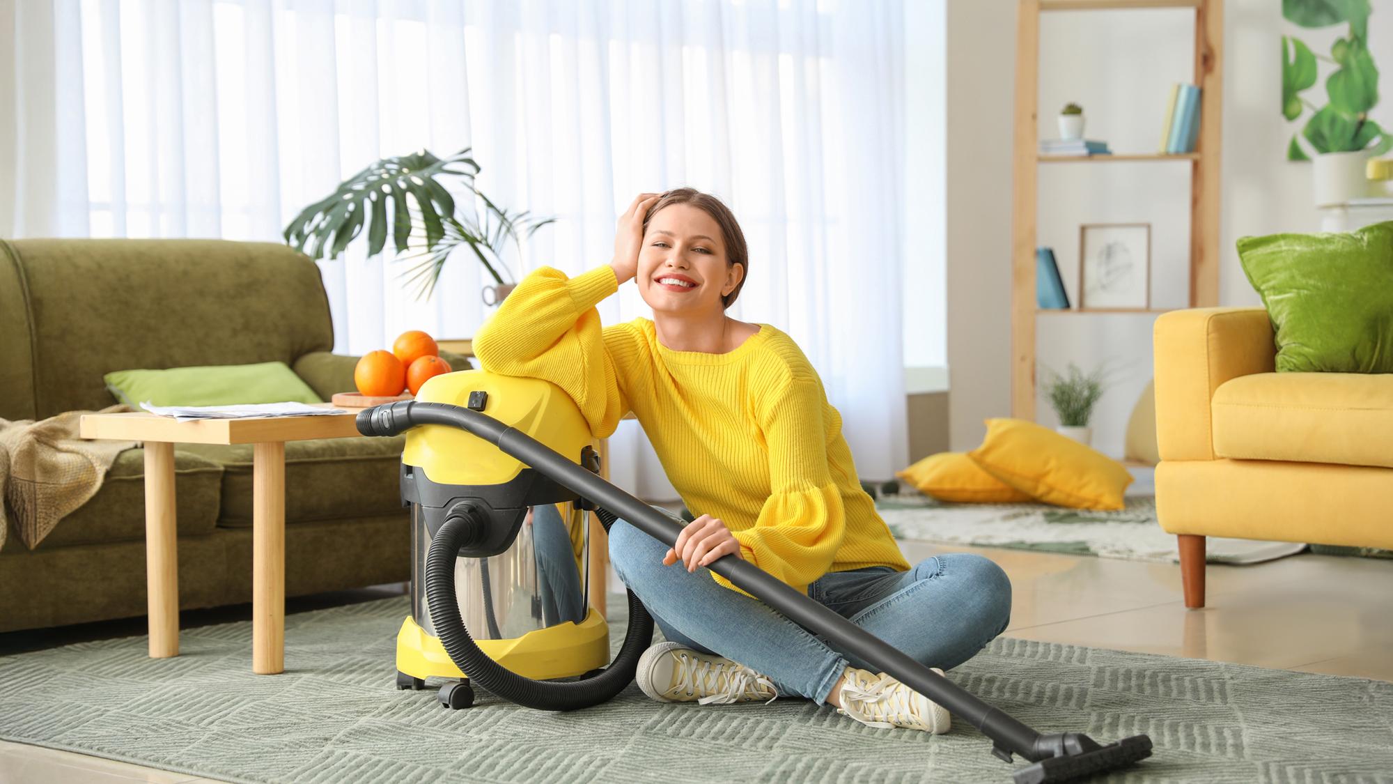 Home Cleaners Near Me